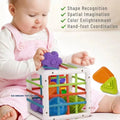 Shape Sorter Educational Toys