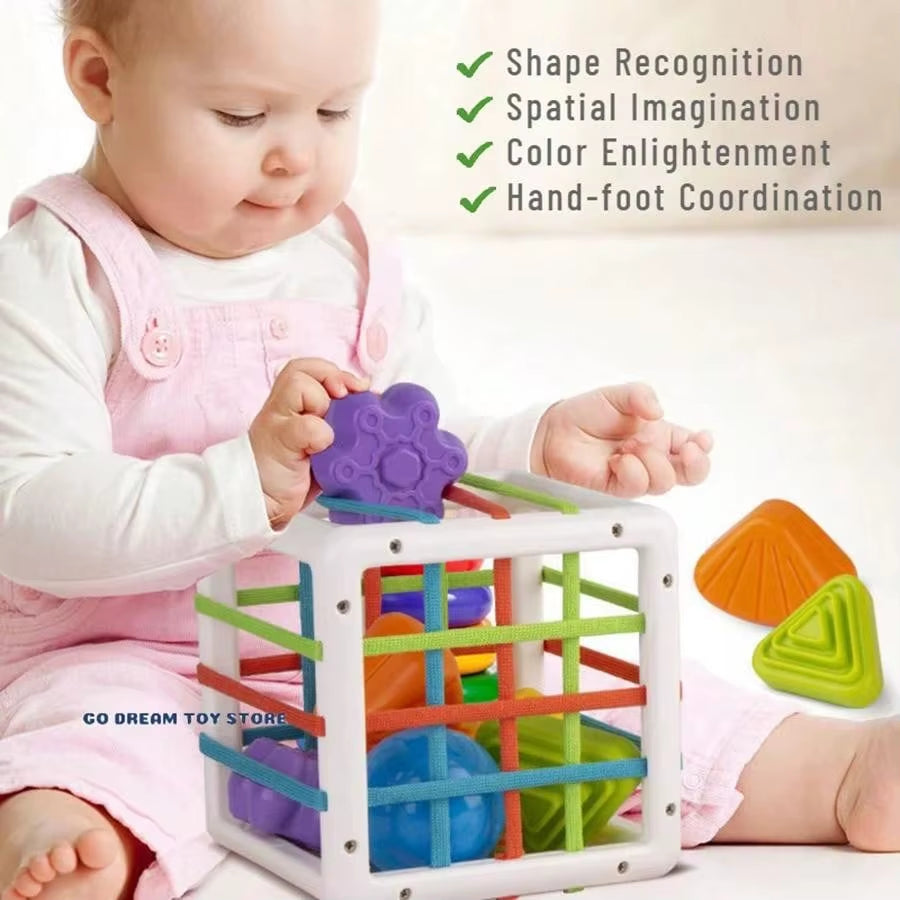 Shape Sorter Educational Toys