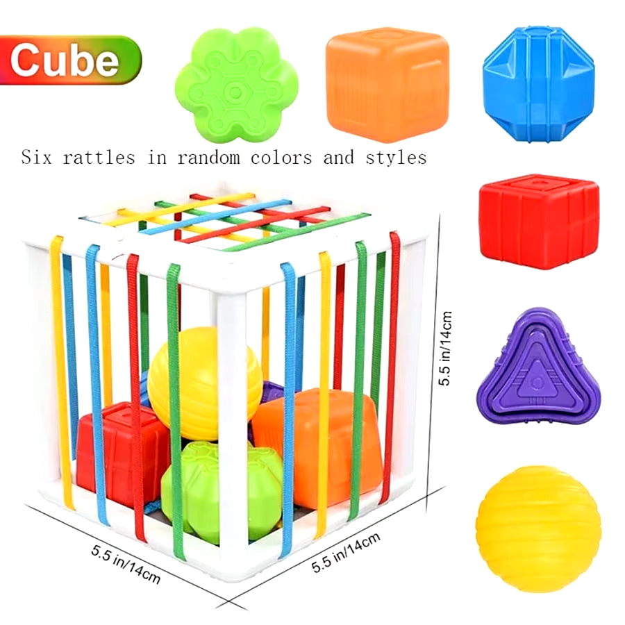 Shape Sorter Educational Toys