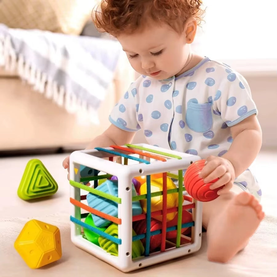 Shape Sorter Educational Toys